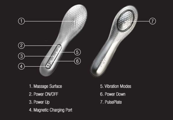 Hot Octopuss Queen Bee-Hot Octopuss-Madame Claude